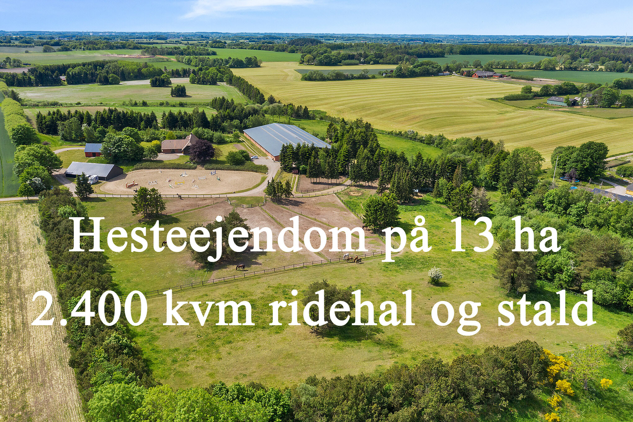 hesteejendom-jylland-ridehal-stutteri2B
